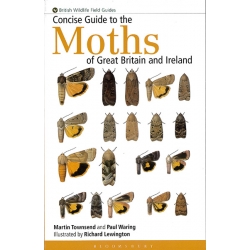 Concise Guide to Moths of Great Britain and Ireland.Paul Waring, Martin Townsend illustrated by Richard Lewington.