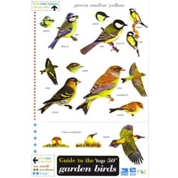 The top 50 Garden Birds in Britain, a laminated fold-out chart